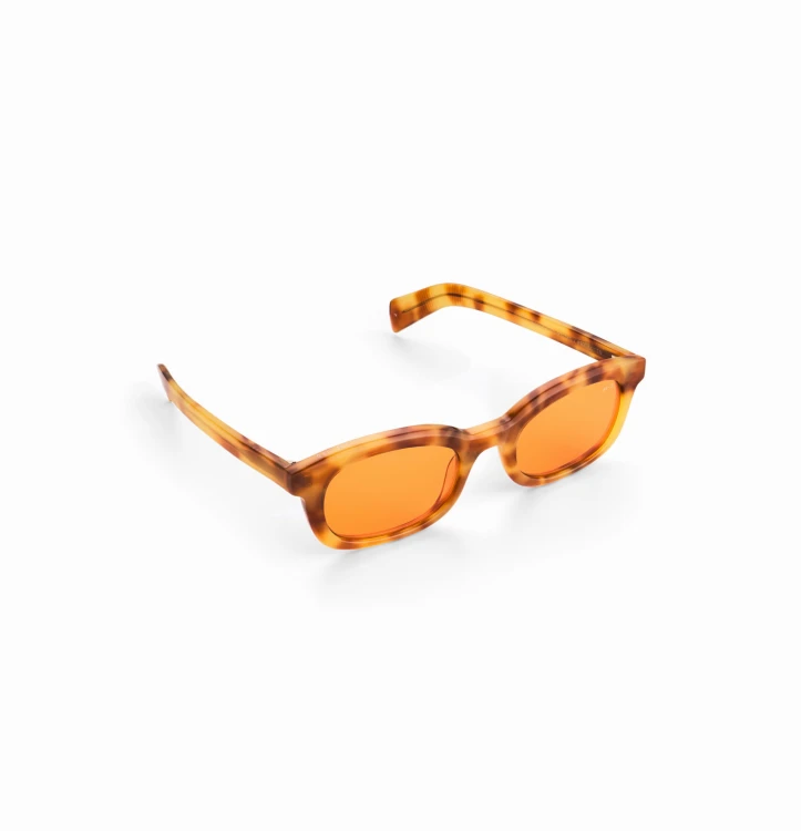 vulture-havana-forever-onesize-gender-unisex-aystudios-01.jpg